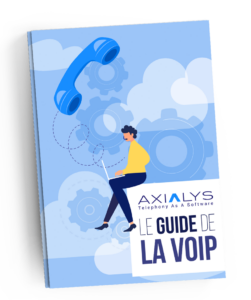 Livre blanc Guide de la Voip