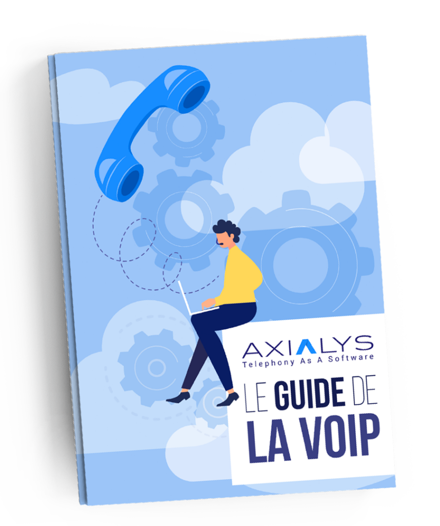 Livre blanc Guide de la Voip